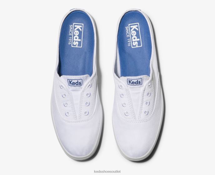Footwear Moxie Mule Women Keds 4D6HZ10 White